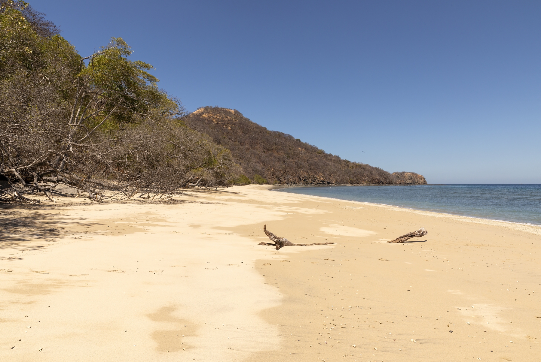 Calle Punta Gorda Beach, Costa Rica